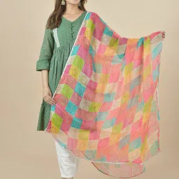 Kota Doria Striped Multicolor Women Dupatta-picture-25