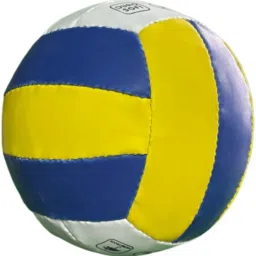 Standard size Volleyball with classic color Volleyball - Size: 5-image-92