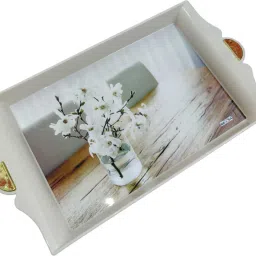 Auris Plastic Small Size Serving Tray For Home And Kitchen Use Tray-15