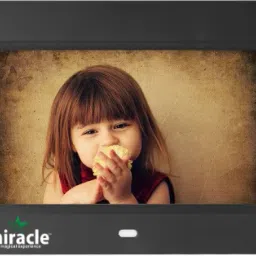 Multi-Functional Digital Media Photo Frame,Supports, SD/MMC,USB-Disk Card/AUX/DC 7 inch LCD-image-54