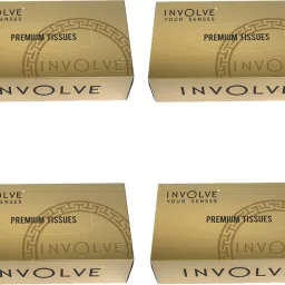 IPTB04 Vehicle Tissue Dispenser-25