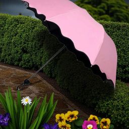 Travel Compact Magic Umbrella 3 Fold Umbrella for Girls, Women_098817 Umbrella-image-60