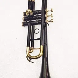 Professional Black Bb Trumpet-21