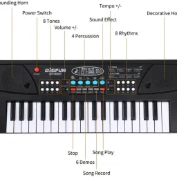 star venture Recommend Product 37 Keys Light up Follow up Kids 1 Electronic Piano Electronic Organ Keyboard with Low Price Analog Portable Keyboard image 3