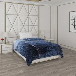 Printed Single Mink Blanket for Heavy Winter-19