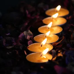 3 Hour Burning Time Fragrance Scented Tea light Candle Pack of 20 for Diwali Candle-image-38