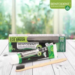 bentodent Activated Charcoal Toothpaste with a Soft Charcoal Bamboo Toothbrush image 2
