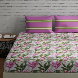 144 TC Cotton Double Striped Flat Bedsheet-14