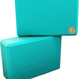 Yoga Blocks Colour: SkyBlue Size: 9X 6 x 3 inch Yoga Blocks-picture-19