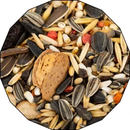 Grey Parrot, Sun Conure, Macaw, Alexander Bird Food Nuts 0.45 kg Dry Adult Bird Food-image-56