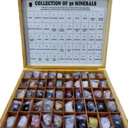 Collection of 50 Minerals (Wooden Pack)-19