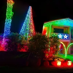 ENORMITY Blue & Green Rice Shape String Lights image 5