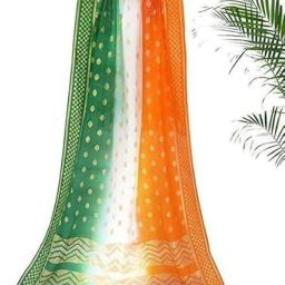 Art Silk Self Design, Embellished Multicolor Women Dupatta-image-3