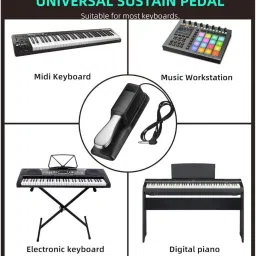 imaginea Universal Sustain Pedal for Keyboard, Digital Piano & MIDI Controller Damper & Sustain Pedal image 3