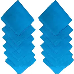 QUEERY Cotton Handkerchiefs Hanky For Men ["Blue"] Handkerchief-image-12