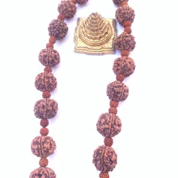 5 Mukhi Rudraksha Kantha Kawach – Premium Indonesian & Nepali Combination Rudraksha Chain-image-31