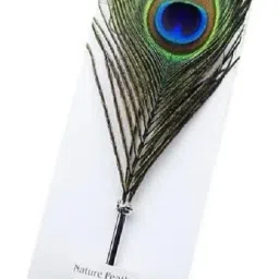 1Pcs Peacock Feather Quill Ballpoint Pens for KidsSchool,Signatures,Wedding Gift Ball Pen-image-2
