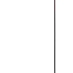 Novelty Floor Lamp-28