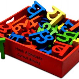 Hindi Alphabet Cutout Blocks (Painted)-image-41