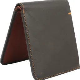 Men Casual, Formal, Travel, Trendy, Evening/Party Multicolor Genuine Leather RFIDWallet-image-1