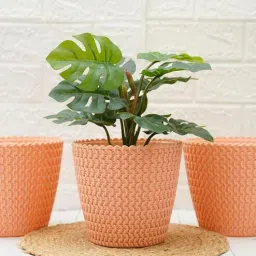 gold dust Peach Plastic (Set of 3) Desk Pots-picture-2