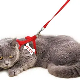 Cat Harness with Black Leash for All Cats & Kitten Easy to Fit Easy to Control Cat Harness & Leash-image-3