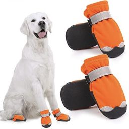 Shoes for Dog-11