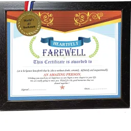 Farewell Framed Certificate With Gold Medal - Unique Gifts for Farewell 11.1 inch Poster-picture-20