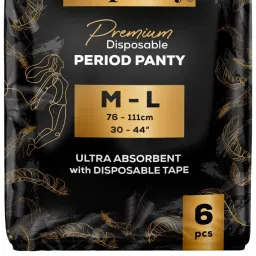 Premium Ultra Absorbent Disposable Period Panty | M-L Sanitary Pad-16