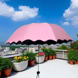 Travel Compact Magic Umbrella 3 Fold Umbrella for Girls, Women_098774 Umbrella-image-64