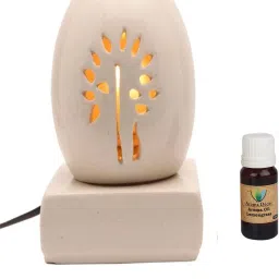 Lemongrass Diffuser Set-24