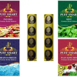 Pan Ras, Mint, Brain-o- Freeze, Paan Kiwi Mint with 2 Polo Quick Light Charcoal (20 disk) Hookah Charcoals-image-15