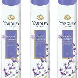 Women English Lavender 150ML Each (Pack of 3) Deodorant Spray - For Women-image-32