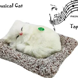 Sleeping cat with meaw sound | Musical cat tap to sound D-17