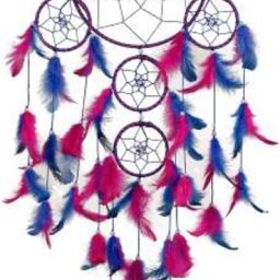 NLDC 41 Feather Dream Catcher-21