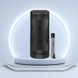 FRONY Bluetooth Party Speaker Long Battery Life With Crydtal Sound & Deep Bass E445 30 W Bluetooth Laptop/Desktop Speaker-image-78