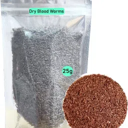 Dried Blood Worms Fish Food High Protein Treat for All Aquarium Fish Aquatic Pet Beef 0.025 kg Dry Young Fish Food-image-98