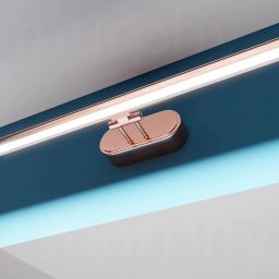 Picture Light Wall Lamp With Bulb-image-37