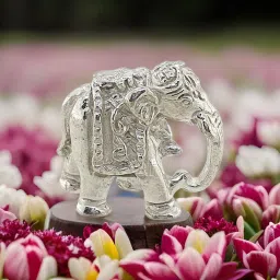 Pure Solid Silver Thoss Chandi Ka Hathi/Elephant Down Soond Decorative Showpiece-2 cm-image-10