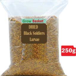 Dry Black Soldier Fly 40% Protein - Fish Food for Arowana, Oscar, Flowerhorns Mealworm, Meat, Fish, Crab 0.25 kg Dry Adult, New Born, Senior, Young Hamster Food-2
