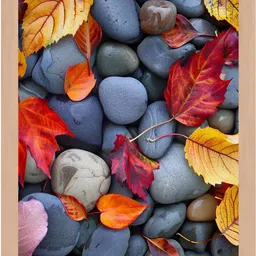 wall profile Wood Wall Photo Frame-picture-10