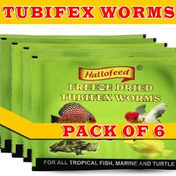 Tubifex worms fish food,60gm (Pack OF 6) 0.6 kg (6x0.1 kg) Dry New Born, Adult, Young, Senior Fish Food-image-12
