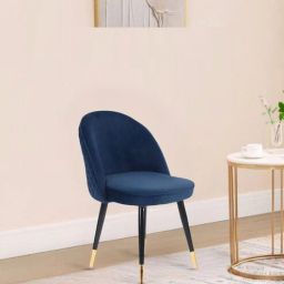 casacraft from pepperfry Iris Fabric Dining Chair In Blue Colour-picture-20