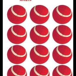 New-JS _319Pack of 6 Tennis Ball-image-93
