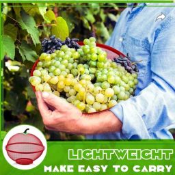 Iron Fruit & Vegetable Basket-image-60
