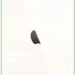 IncMart Apple IPhone 11 Back Panel-image-7