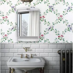 Bathroom Accessories Storage With Bathroom Mirror-image-39