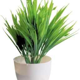 Artificial Green Grass Plant with White Pot for Bonsai Wild Artificial Plant with Pot-image-18