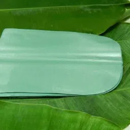 Paper Banana Leaf Plate Serving Set-32