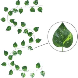 anandani Artificial Wall Hanging Money Plant Creeper Bail/Leaf Green Wild Flower Artificial Flower image 3